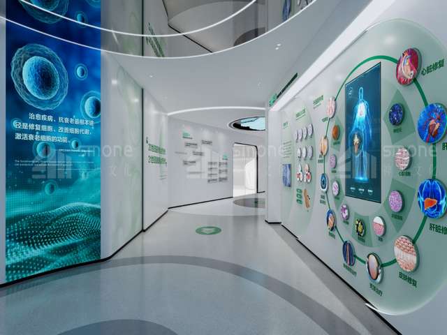 浙江PET吸塑托盘厂家