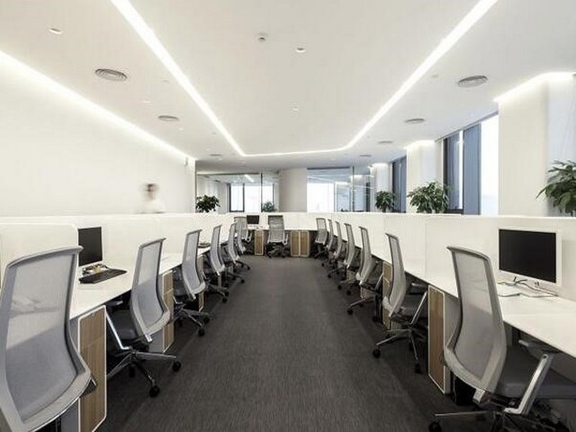 四川金钗石斛哪里有